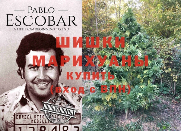 эйфоретик Армянск