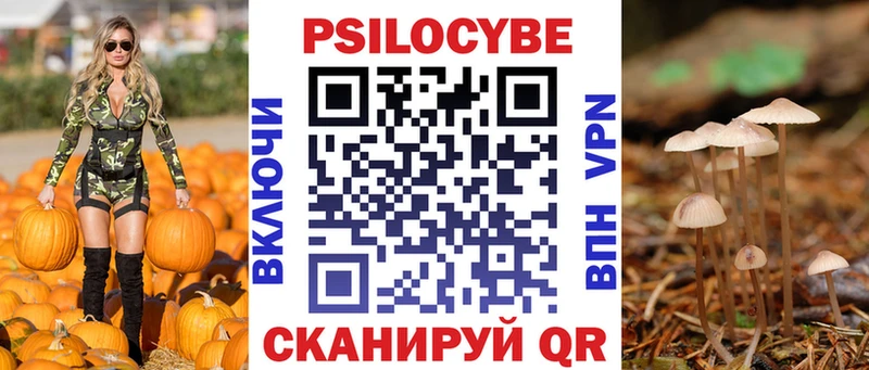 shop официальный сайт  Сланцы  Галлюциногенные грибы мицелий  наркошоп 