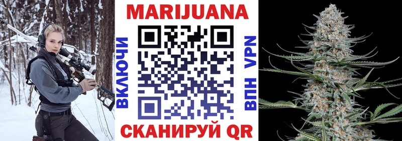 купить наркоту  Сланцы  Бошки Шишки семена 